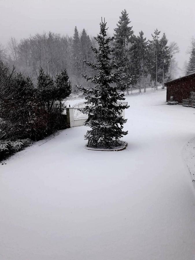 Ferienwohnung Im Westerwald Mengerskirchen 外观 照片